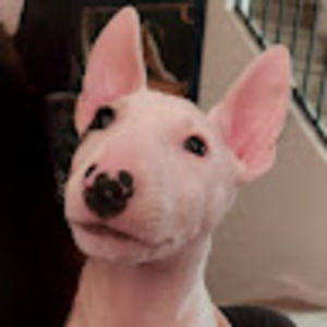 Meet your Posher, Jaydn